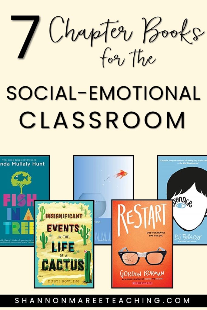 social-emotional-learning-classroom